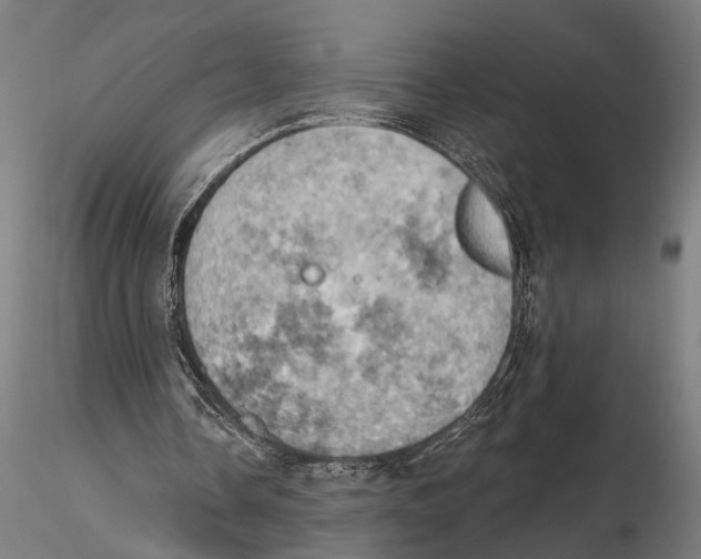 X0000115590338200912081054