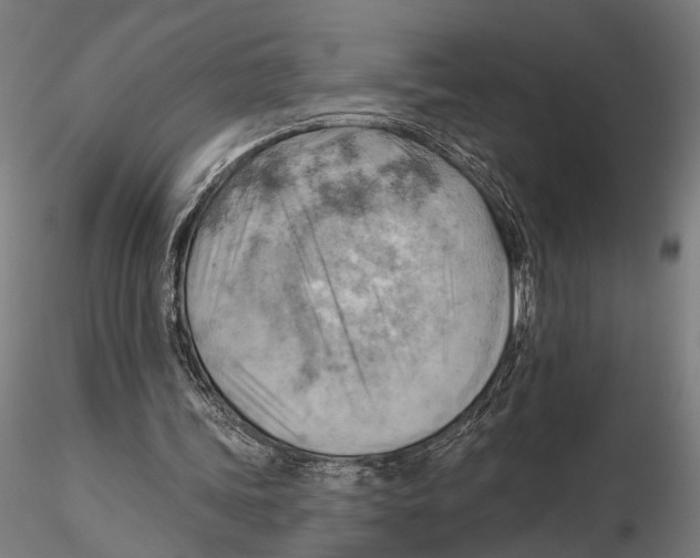 X0000115590339200912081054