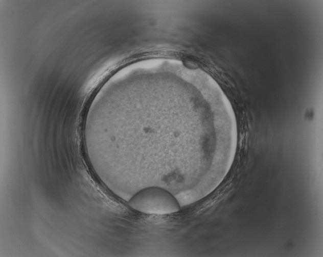 X0000115590341200912081054