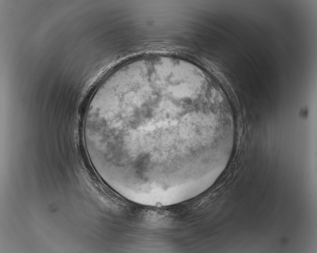 X0000115590346200912081054