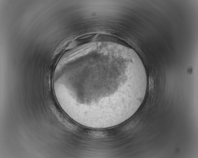 X0000115590349200912081054