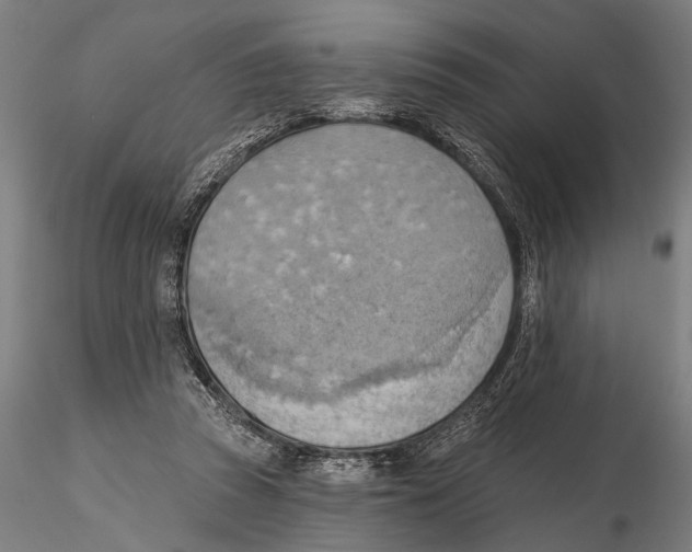 X0000115590353200912081054