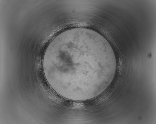 X0000115590355200912081054