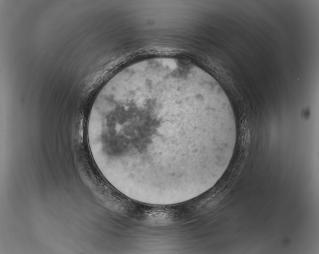 X0000115590358200912081054