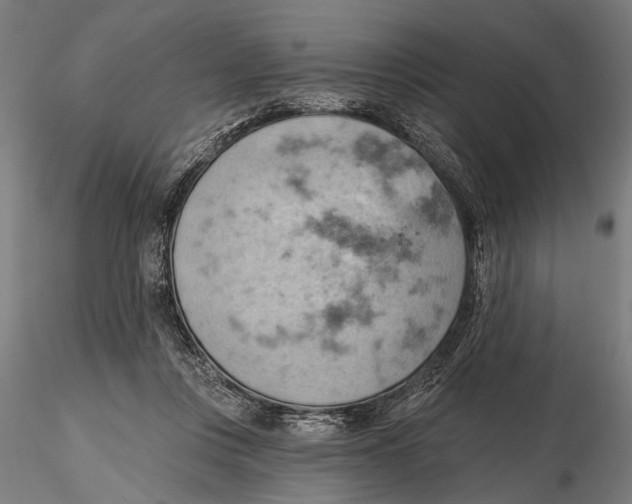 X0000115590359200912081054