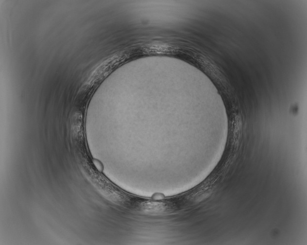 X0000115590361200912081055