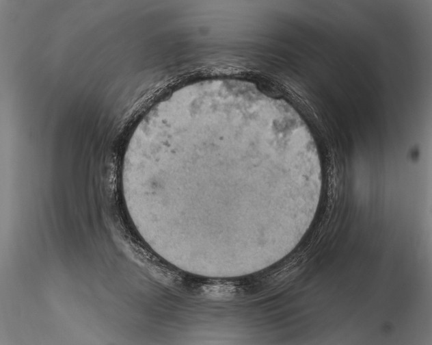 X0000115590362200912081055