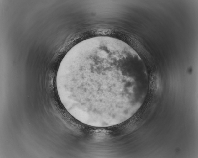 X0000115590363200912081055