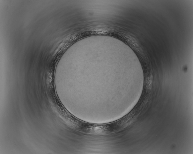 X0000115590365200912081055
