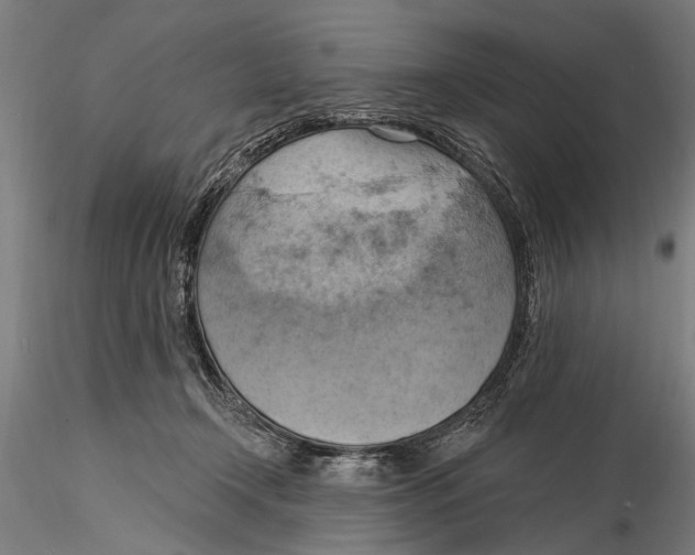 X0000115590366200912081055