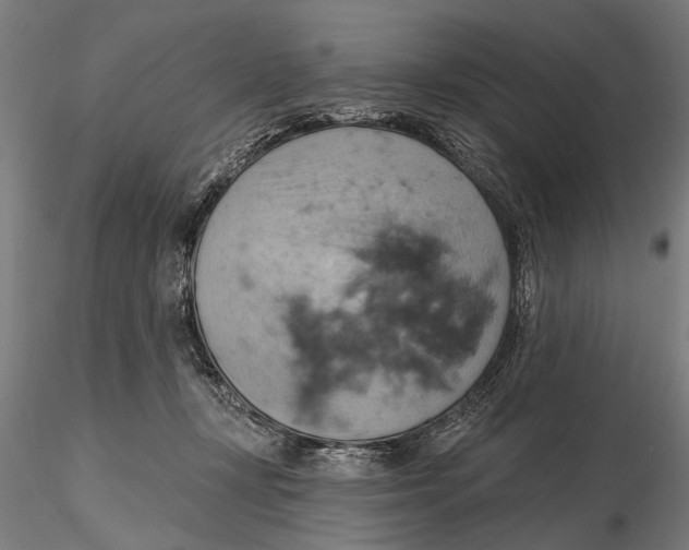 X0000115590367200912081055