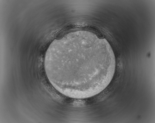 X0000115590369200912081055