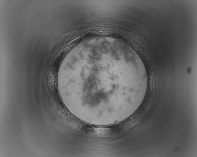 X0000115590371200912081055