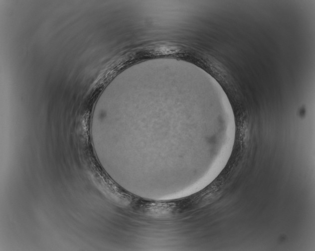 X0000115590373200912081055