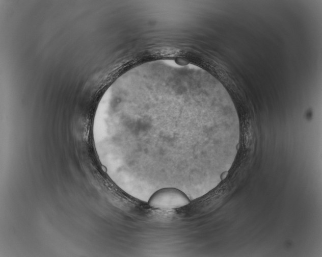 X0000115590374200912081055