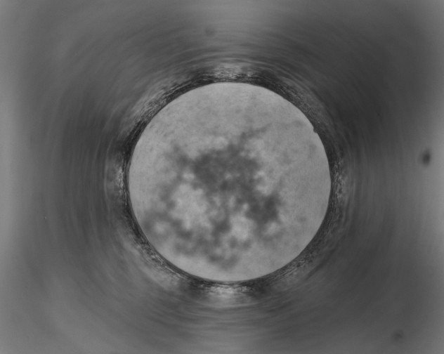 X0000115590375200912081055