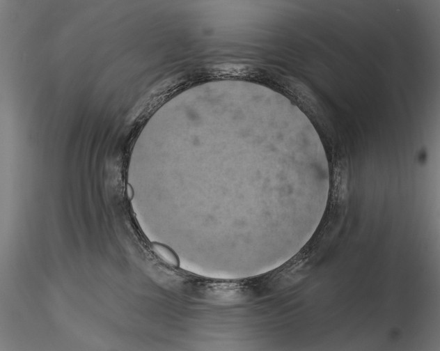X0000115590377200912081055