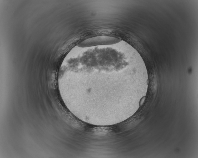 X0000115590378200912081055