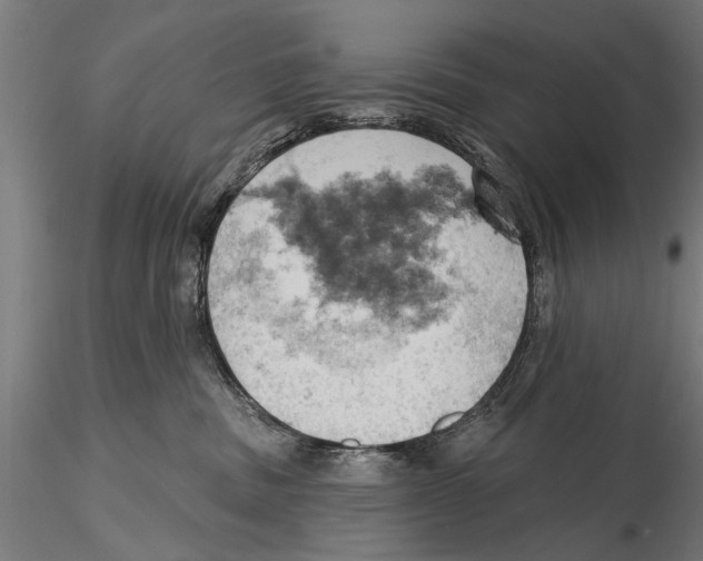 X0000115590379200912081055