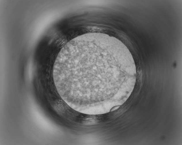 X0000115590381200912081055