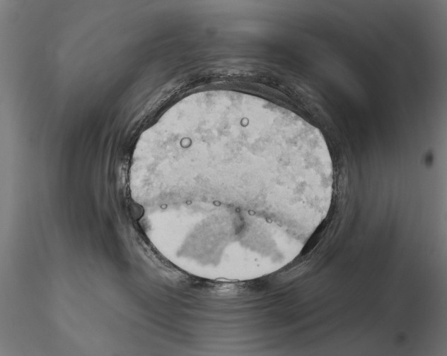 X0000115590382200912081055