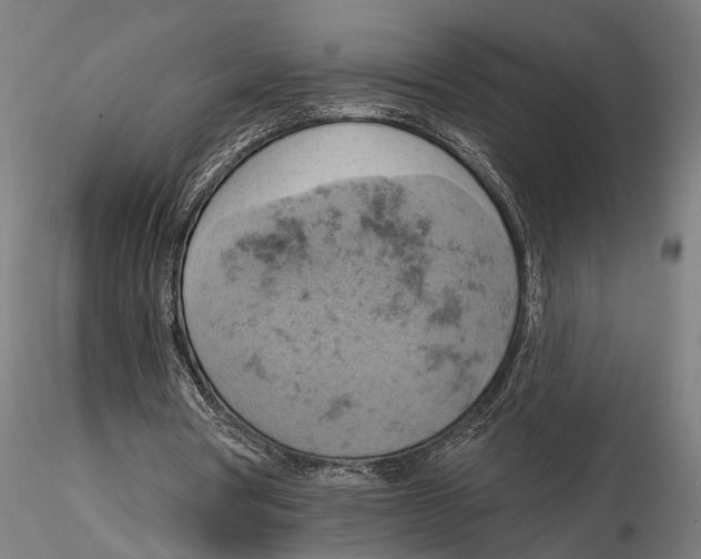 X0000115590386200912081054