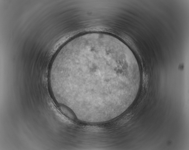 X0000115590389200912081054