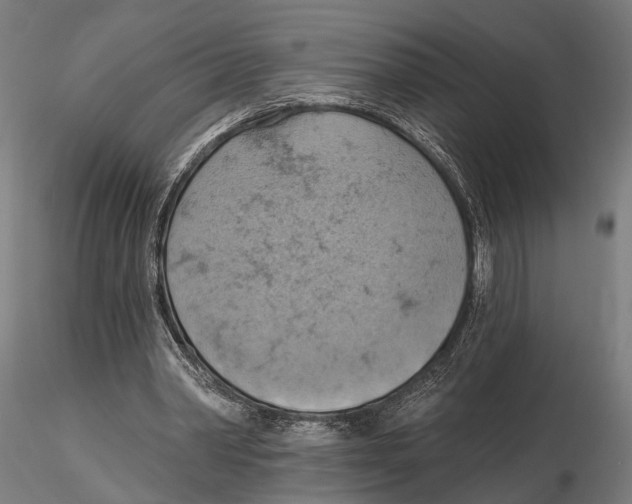 X0000115590390200912081054