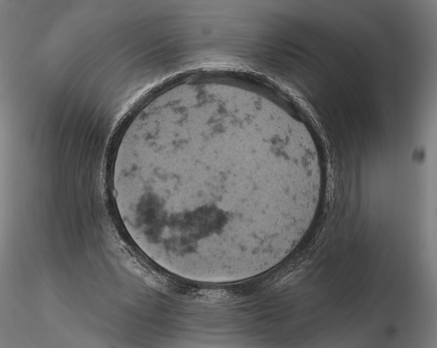 X0000115590391200912081054