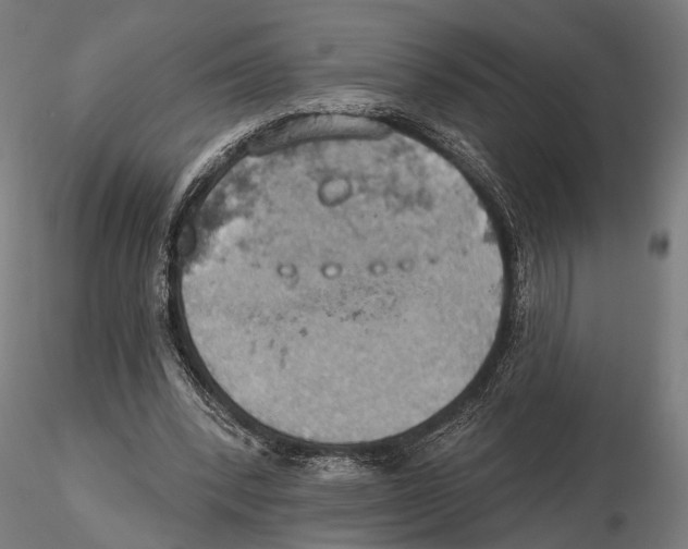 X0000115590392200912081054
