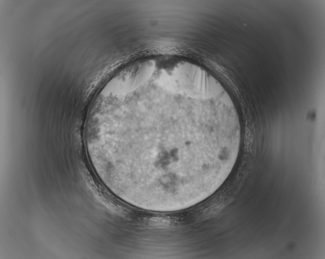 X0000115590394200912081054