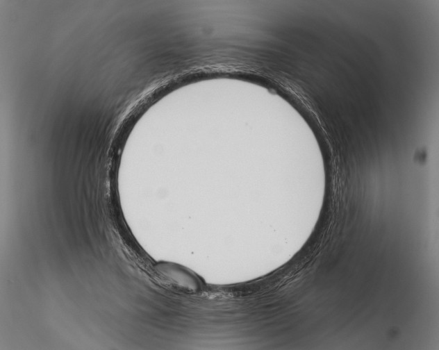 X0000115590395200912081054