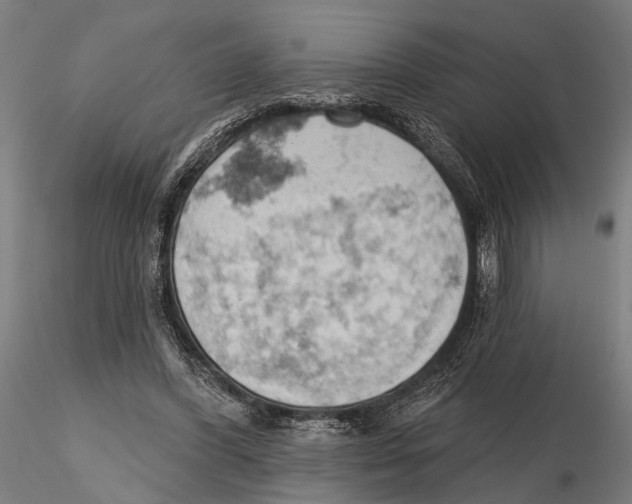 X0000115590396200912081054