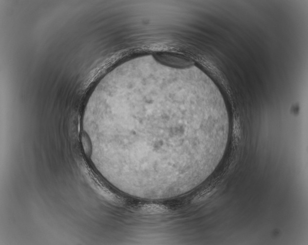 X0000115590397200912081054