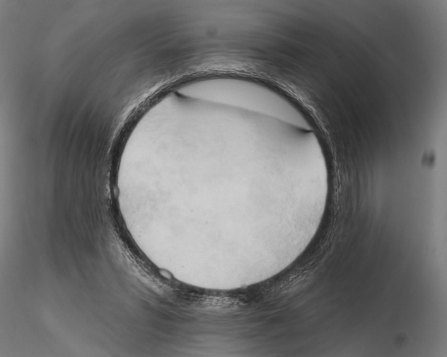 X0000115590399200912081054