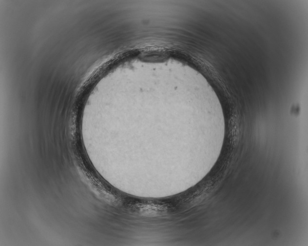X0000115590400200912081054