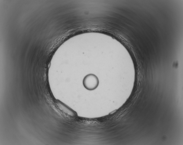 X0000115590401200912081054
