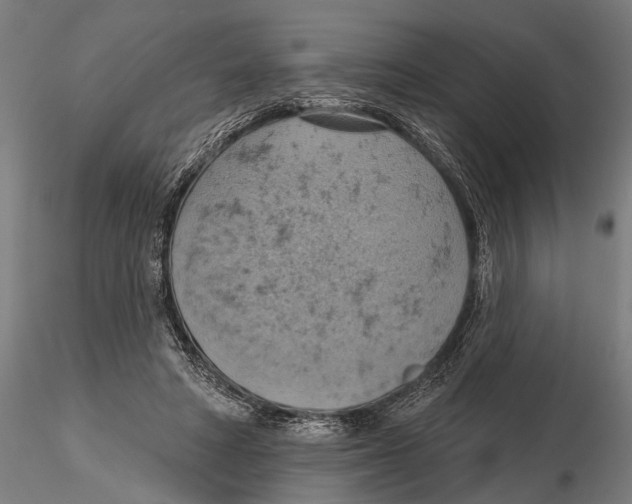 X0000115590402200912081054