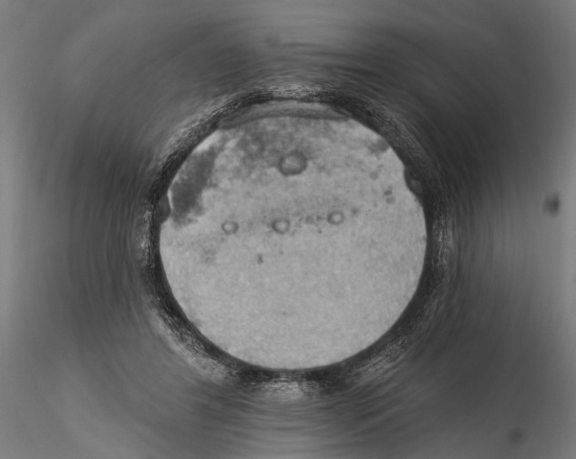 X0000115590404200912081054