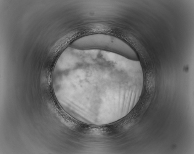 X0000115590405200912081054