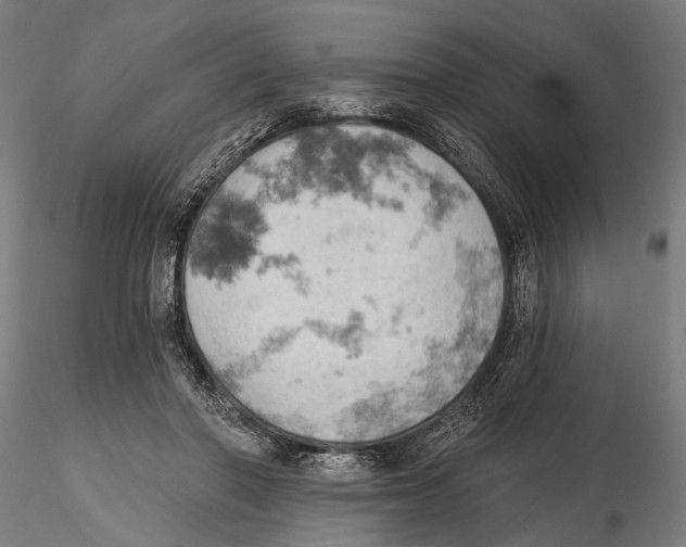X0000115590406200912081054