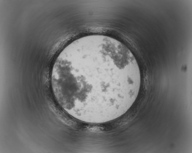 X0000115590407200912081054