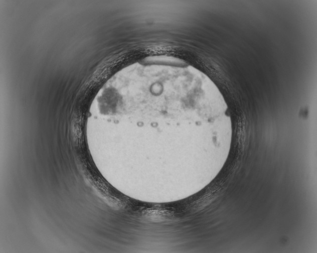 X0000115590408200912081054