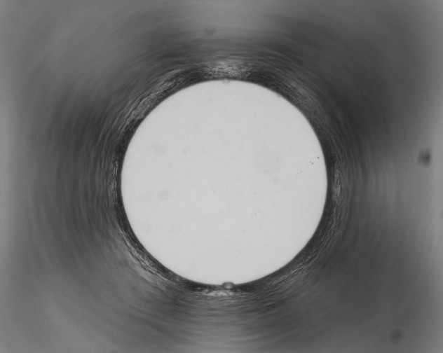 X0000115590409200912081054