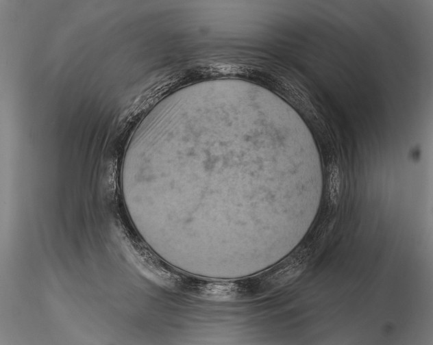 X0000115590410200912081054