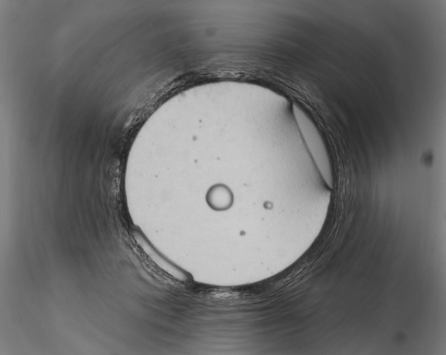 X0000115590413200912081054