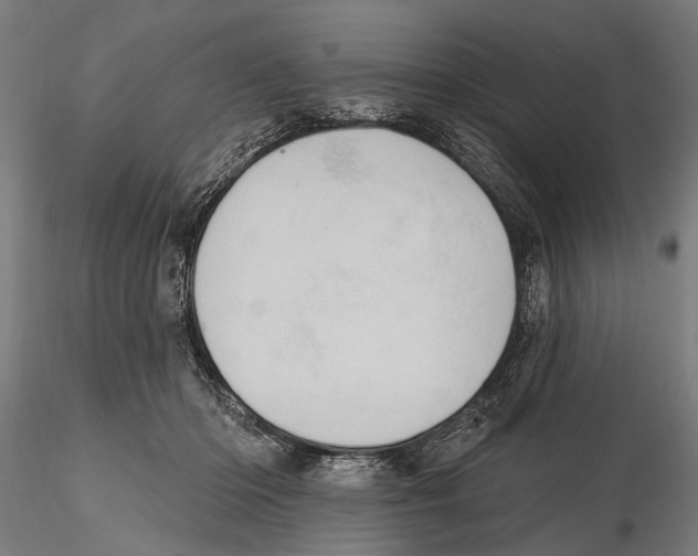 X0000115590414200912081054