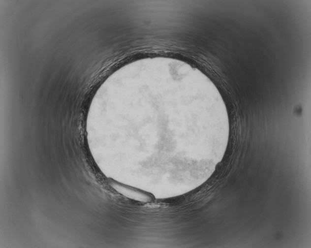 X0000115590415200912081054