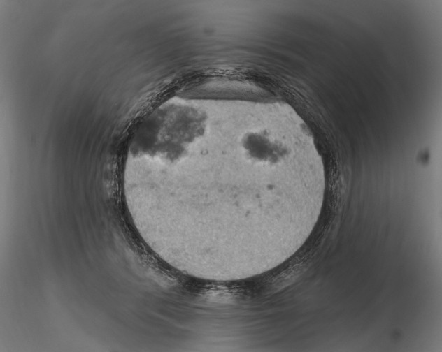X0000115590416200912081054