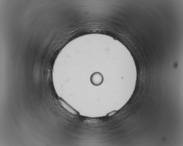 X0000115590417200912081054